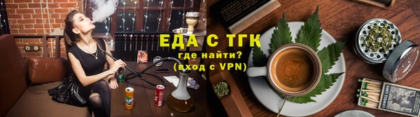 ECSTASY Бородино