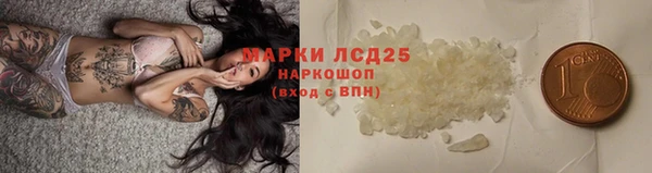 ECSTASY Бородино