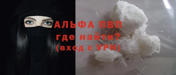 ECSTASY Бородино