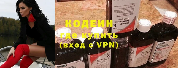 ECSTASY Бородино
